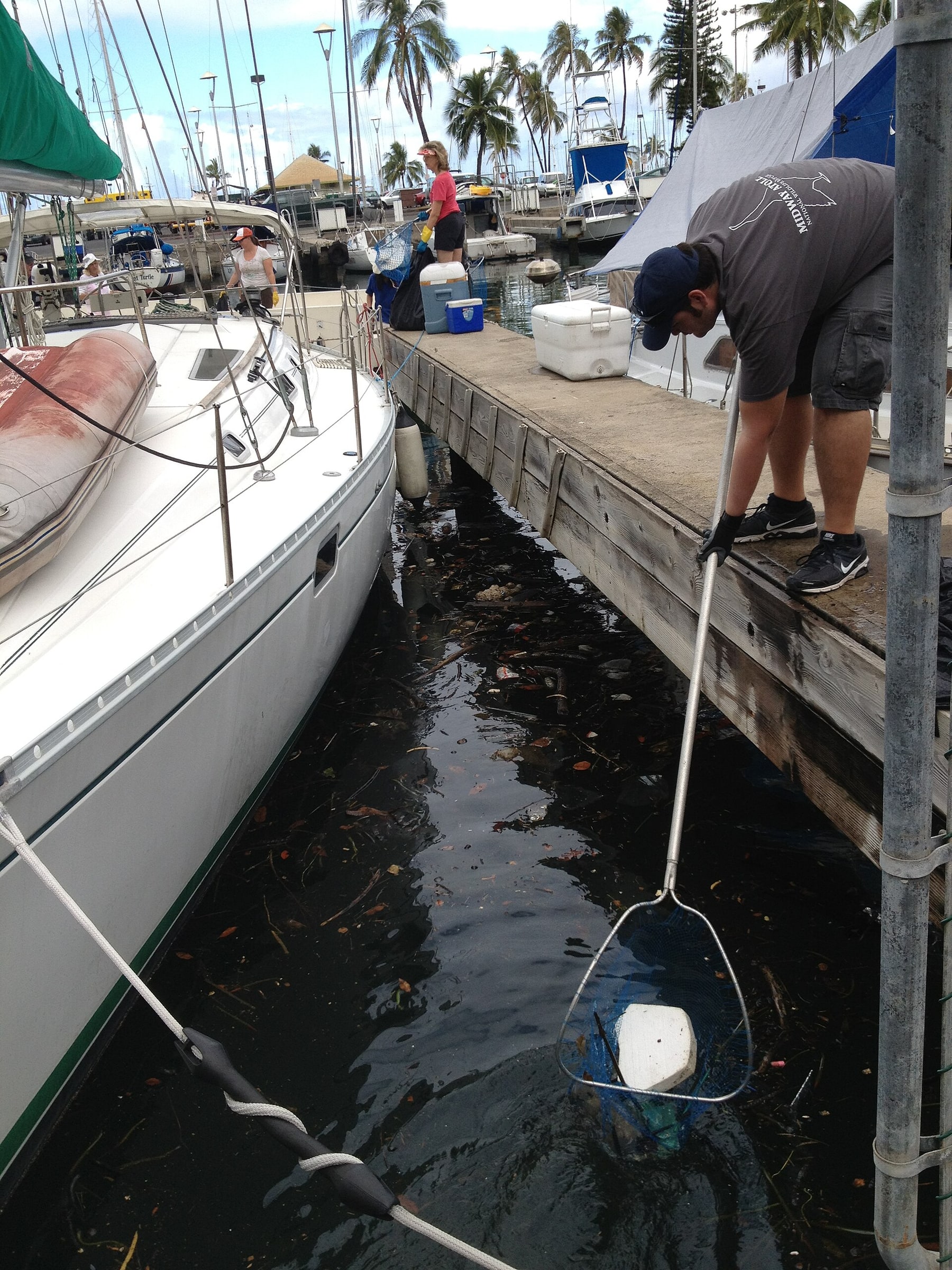 Volunteers scoop floating debris from the water between marina docks.