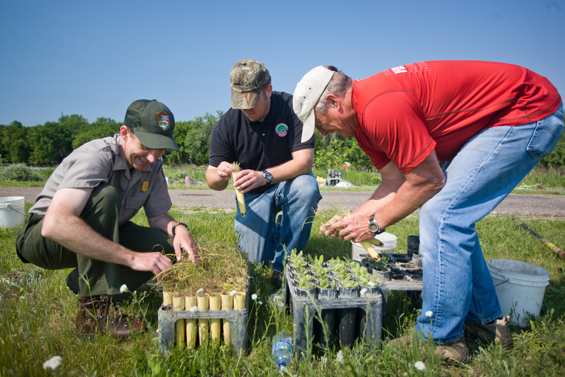 A park ranger and volunteers prepare native plant plugs for prairie restoration.