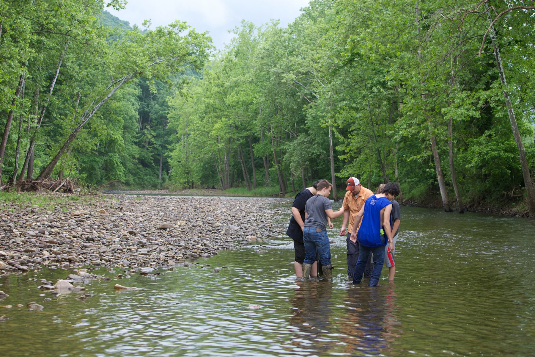 School students and an educator examine a water-quality sample while standing in a forest stream.