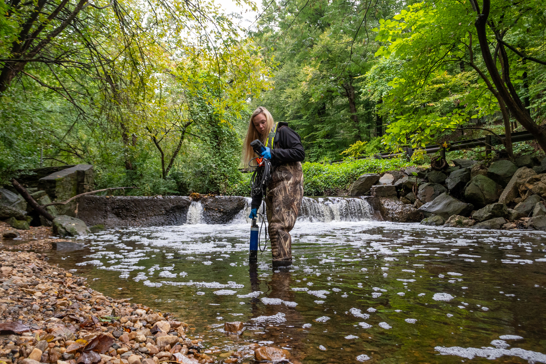 A water scientist lowers monitoring equipment into a wooded creek.